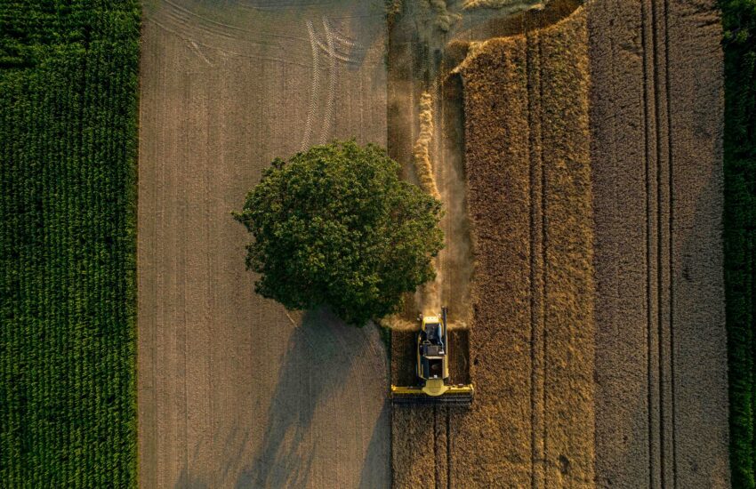 Roots of Renewal: Agroforestry for Climate-Smart Farming